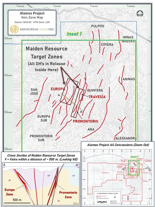 Figure 1. Plan view of vein zones