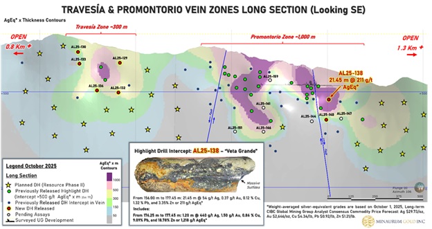 Figure 2. Longitudinal section