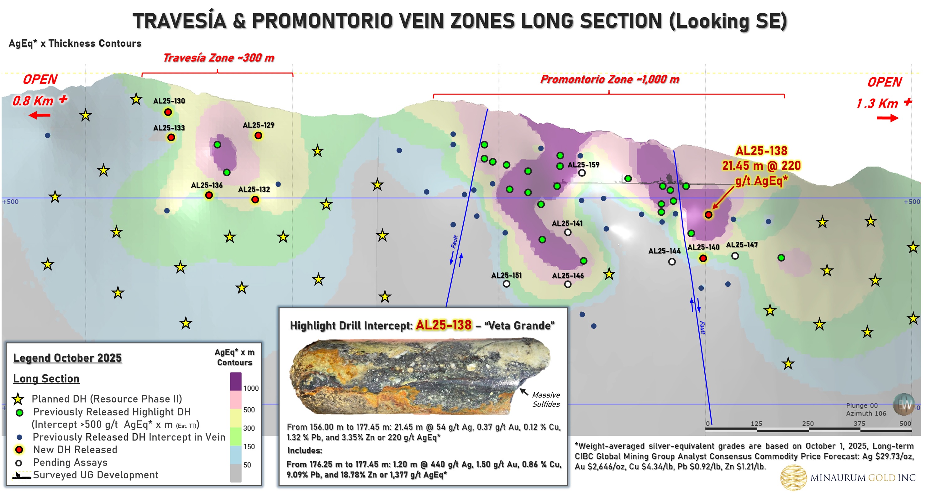 Figure 2. Longitudinal section
