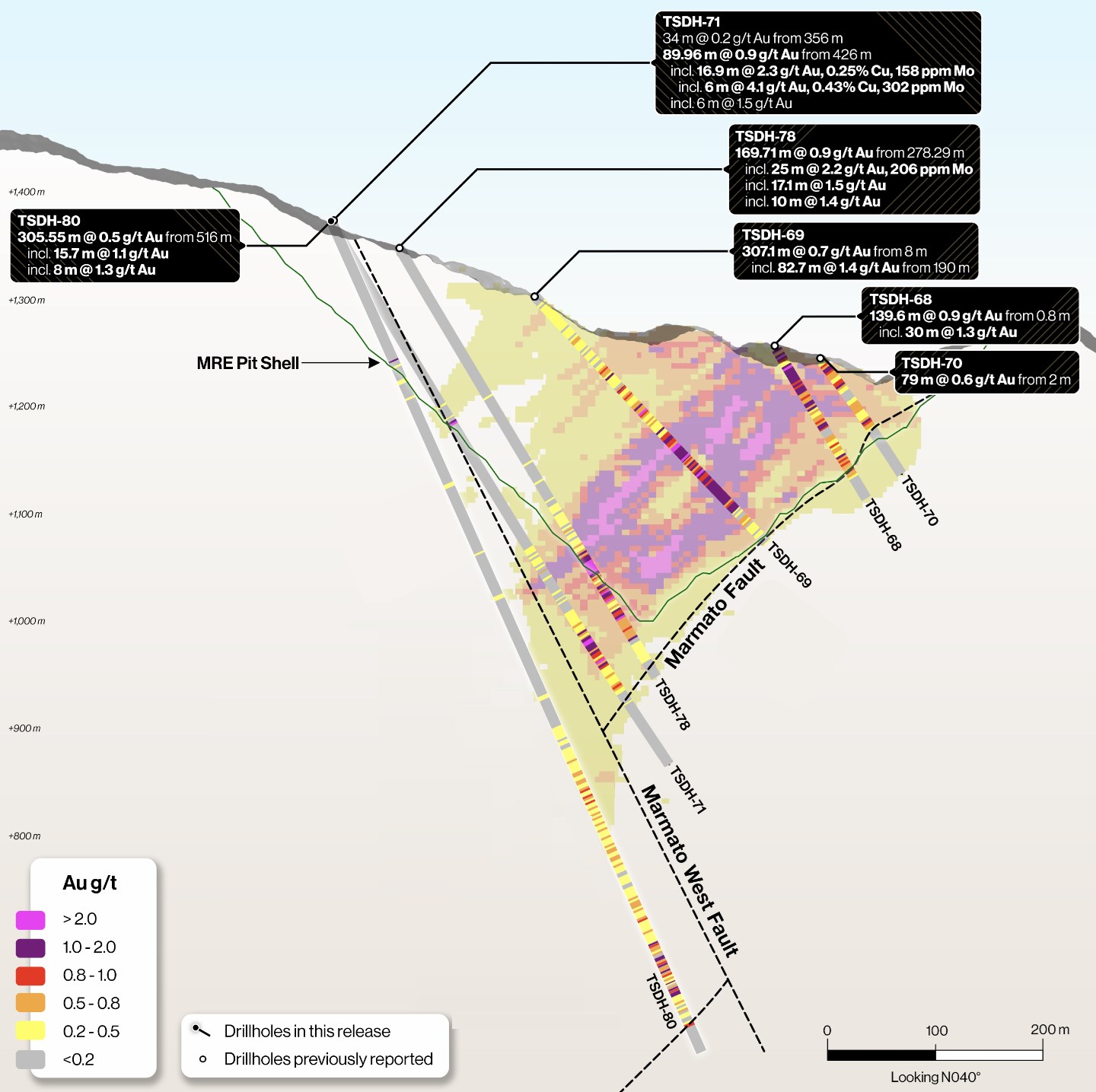 Tiger Gold drill results graphic