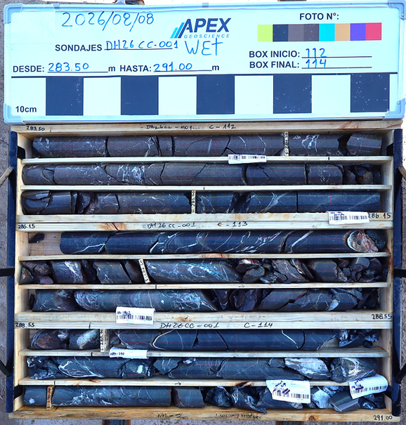 Super Copper Cordillera Cobre drill core